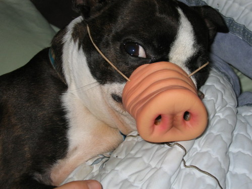 Catie_G's profile picture. 