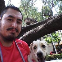 Fer Iván(@feriv7) 's Twitter Profile Photo