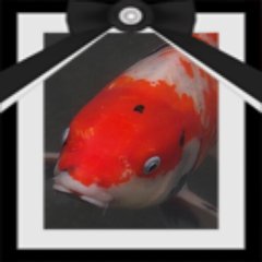 川下りキモティー