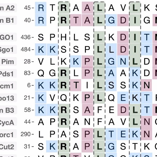 Short Linear Motif team Profile