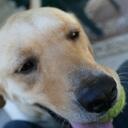 James Edgeman - @coltfreaks - Twitter