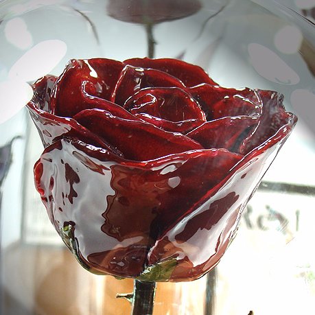 Forever Roses, Gold Roses, Silver Roses, Platinum Roses & So Much More!