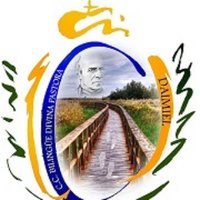 DivinaPastoraDaimiel (@dpastoradaimiel) 's Twitter Profile Photo DivinaPastoraDaimiel (@dpastoradaimiel) 's Twitter Profile Photo