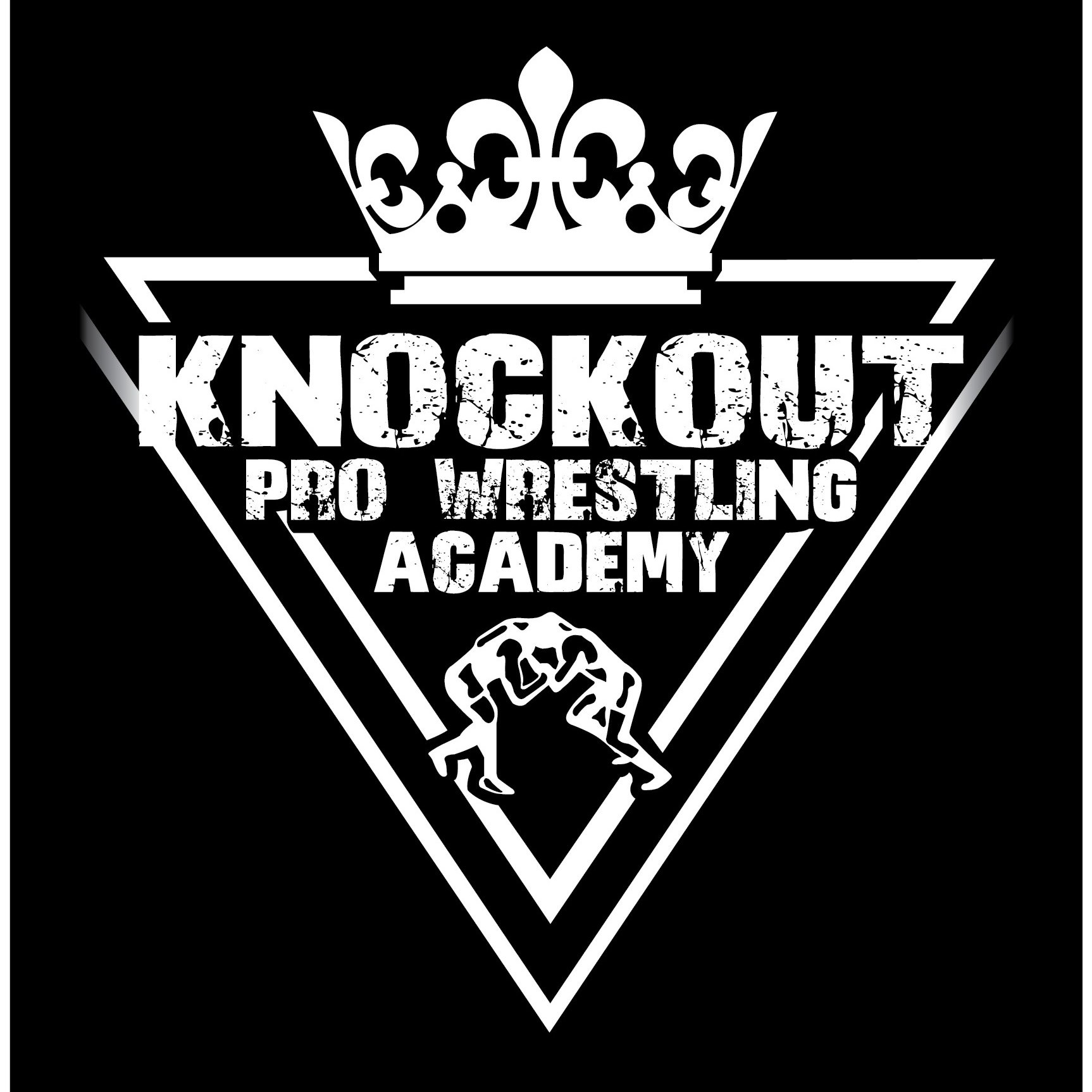Pro Wrestling Training in WALES