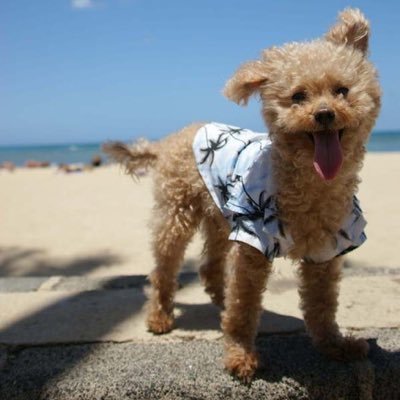 バイトを辞めたい。でも収入は減らしたくない。副業が怪しい怖いと思っている方イメージが変わってくると思います。集客のやり方を教えます。月10万円〜20万円稼げます。アフィリエイト、メルレでもありません。学生可、未経験可、登録なし、身分証不要、興味がある方はDM下さい。♯相互フォロー♯フォロワーLINE→@bzn7522q