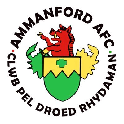 Ammanford AFC Jnr's