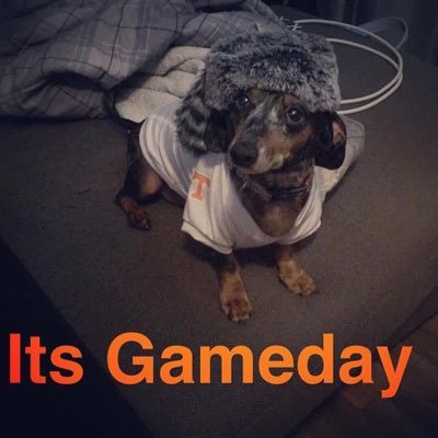 UT fan. TOOL fan. Picture is my dog wearing a coon skin cap.