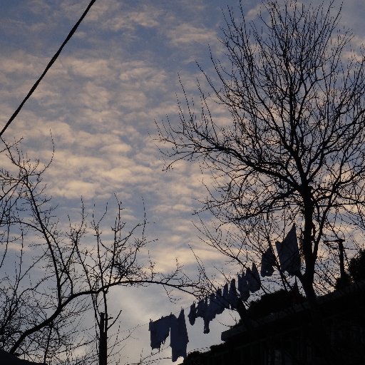 mood___Indigo's profile picture. 