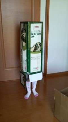 SeishiTaniguchi's profile picture. だぁ〰❗