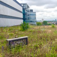 Livingroofs.org(@worldgreenroof) 's Twitter Profile Photo