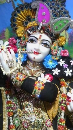 SehgalAkshita's profile picture. 