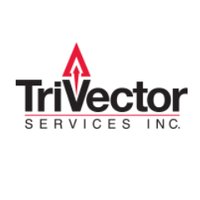 TriVector Services(@trivector_us) 's Twitter Profile Photo