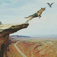 ابن الوطن 🇸🇦 (@taifaliq) 's Twitter Profile