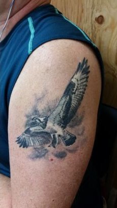 larpkin's profile picture. Package Handler for FedEx SupplyChain at Ace Retail Support Center #15