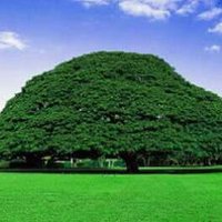 gaaromaa fayyinaa (@dbksb45) 's Twitter Profile
