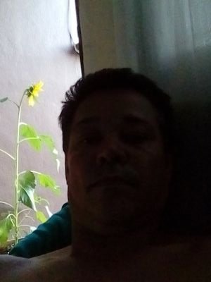 JoseLuizRoque's profile picture. 