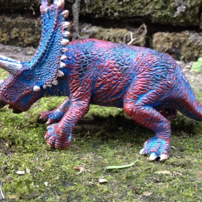 flyingbladder's profile picture. IAM the ruler of my world