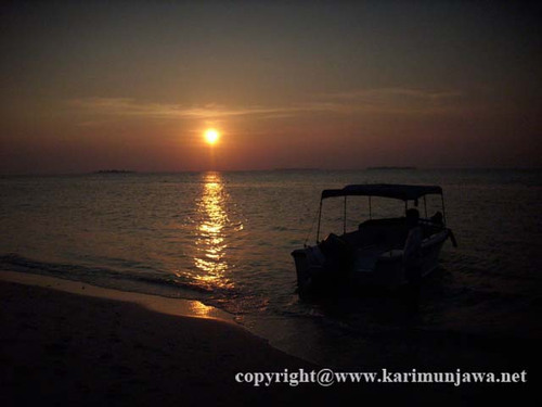 NirwanaLaut's profile picture. we help people who need to come to karimunjawa island