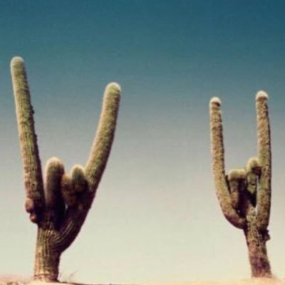 Caroline90007's profile picture. 