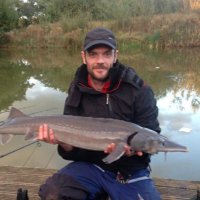 Matty C (@mattcuk187) 's Twitter Profile