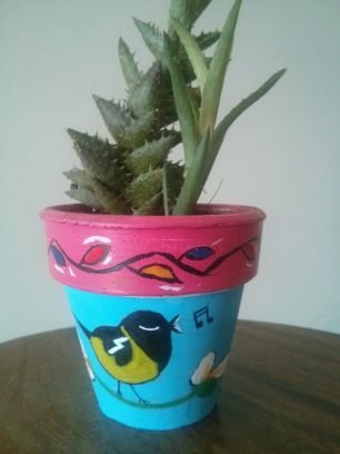 solyanin's profile picture. De Aragua, crecí en Capacho, viví en San Cristóbal y me hice madre en Maracaibo, Anzoátegui me enseñó mucho,  venezolana que vive aprendiendo en Venezuela!