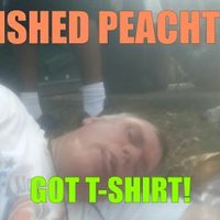 Eric Reece (@perfidiousp) 's Twitter Profile