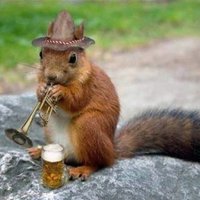 Keely's Big (@keelysbig) 's Twitter Profile