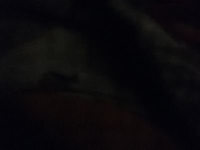 SaidaNaranjo's profile picture. Boca juniors