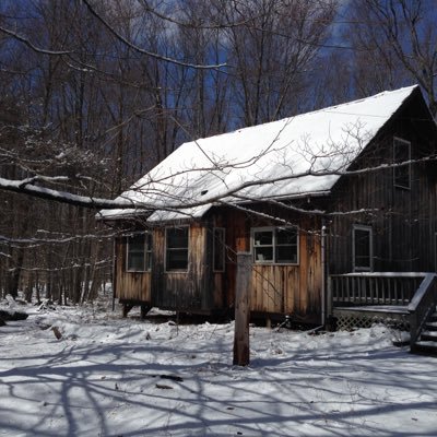 andrew81812683's profile picture. Polish Imgrnt son of CC survivor. Chem Eng, EPA, Contractor,  Vol Handyman. ‘60s, Meditation, Yoga, Democrat, Cook, Miles, Coltrane, Climate, ☮️❤️🕉 BLM