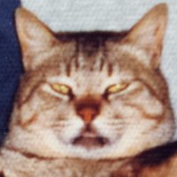 霧霧霙/霧谷むらさき (@kirikyrie) 's Twitter Profile