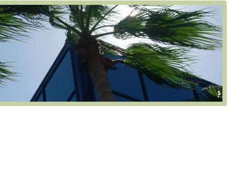 LoggerheadPlaza's profile picture. The Loggerhead name is well known in Northern Palm Beach County. Located on US 1, north of Donald Ross Road in Juno Beach