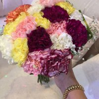 H youssef (@hajosmoh) 's Twitter Profile