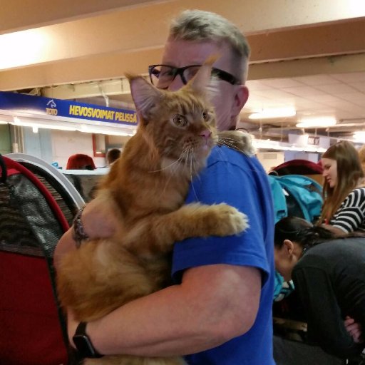 NekoSakeRepe's profile picture. Cat and animal lover, pharma professional, follower of intelligent posts, critical to illegal aliens destroying Finnish culture, slava Ukraini!