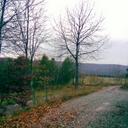 Arthur Heyer - @outlawbiker - Twitter