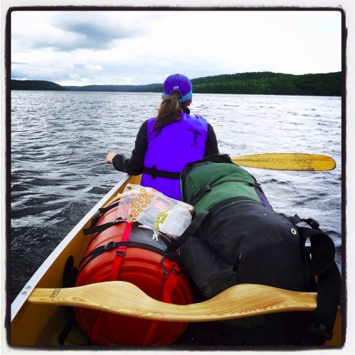 MsvandergeldENG's profile picture. Middle School English teacher at the International School of Brussels.