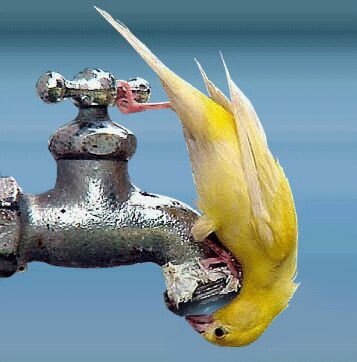 EjimaTobias's profile picture. 