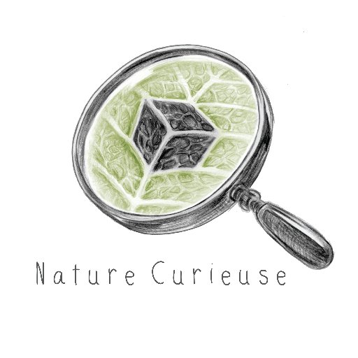 Box thématique 100% gourmande et naturelle! Produits issus d'une agriculture biologique, naturellement sans gluten et sans lait!