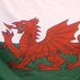 Our Welsh Life (@ourwelshlife) Twitter profile photo Our Welsh Life (@ourwelshlife) Twitter profile photo