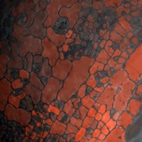 Doctorado en Bioingeniería UMH (@bioingumh1) 's Twitter Profile