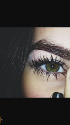 kywt13664's profile picture. 