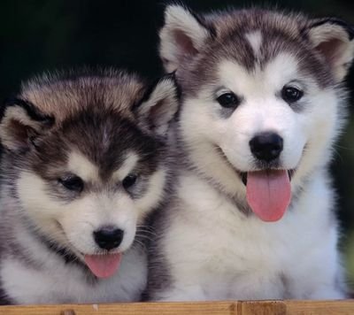 I'm here to make you happy and to make you laught https://t.co/eJqDzzh0eS let's go and have fun.Unjoy in my world here!If you have something to say wrong in my twets,say it.