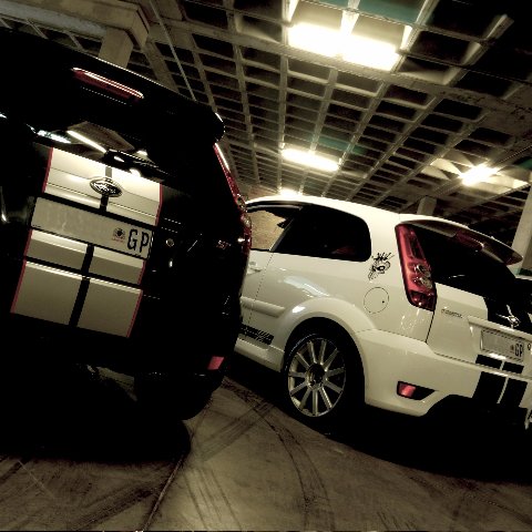 stforlifecoza's profile picture. 