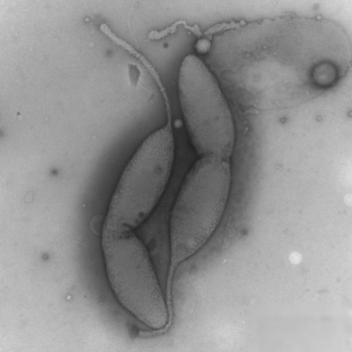 _StalkBot's profile picture. 