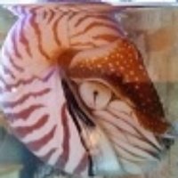 Cynomys Xylocarpis (@xylocarpis) Twitter profile photo