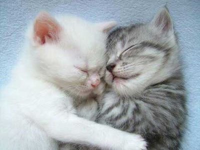 sayokiti's profile picture. 《大好き》音楽♪秦 基博♪FMラジオ♪動物♪雑貨♪食べ物♪風景♪くまモン♪
《性格》とりあえず前向きでおっペケぺー。間違ったことは大嫌い！LOVE＆Peace♥
☆世に対して毒を吐いたりするのでフォロー注意⚠
☆気付かない時多いのでフォロー時はお声掛け頂けたら有り難し♥