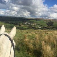 Claire Horsfield (@clairehors) 's Twitter Profile Photo