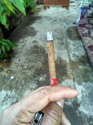 aringapo45's profile picture. 