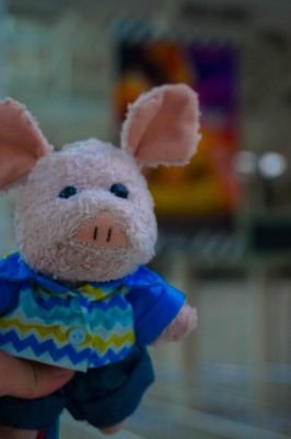 vaniploen's profile picture. 💜 #ASTRO #AROHA 
Mj Jinjin ChaEunwoo MoonBin Rocky YoonSanha