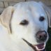 christi g (@christig41860) Twitter profile photo christi g (@christig41860) Twitter profile photo