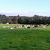 Keep Cowlishaw Green (@cowlishawgreen) Twitter profile photo Keep Cowlishaw Green (@cowlishawgreen) Twitter profile photo
